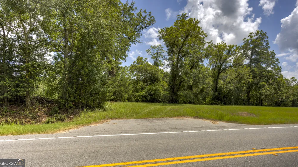 0 GA Highway 169 Claxton, GA 30417