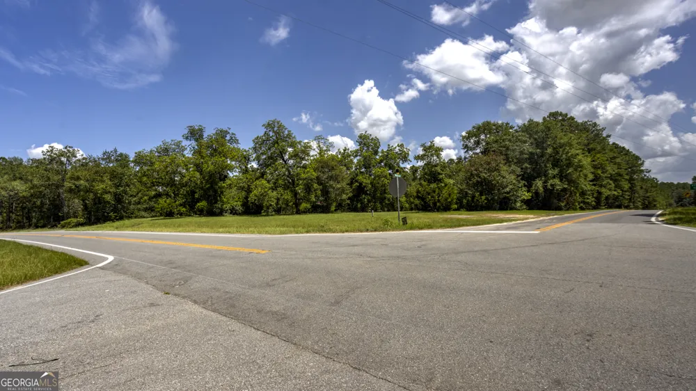 0 GA Highway 169 Claxton, GA 30417