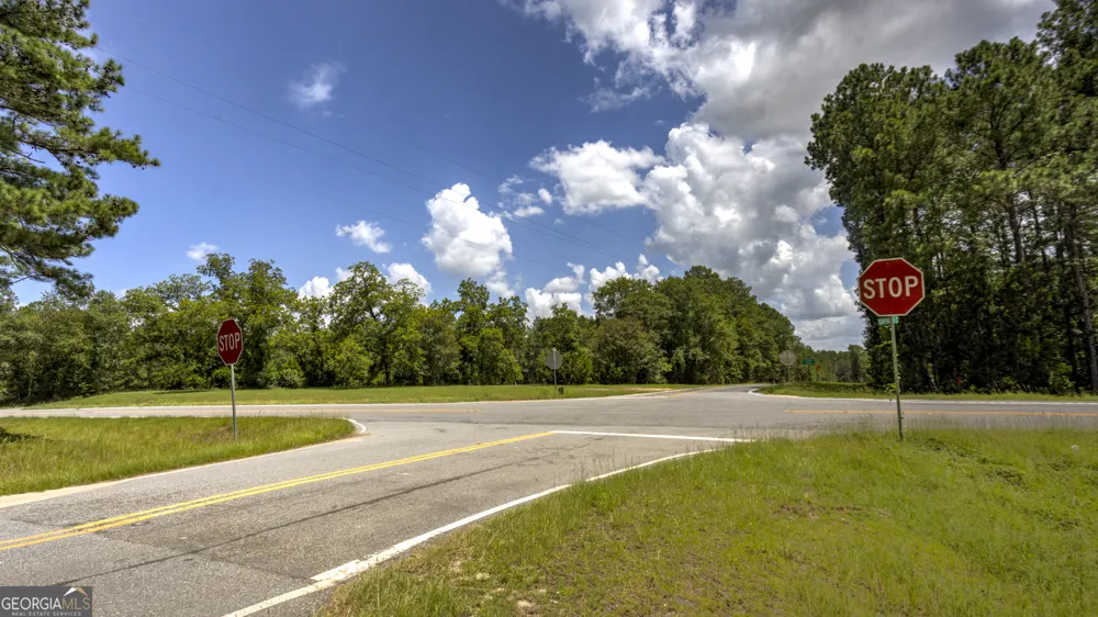 0 GA Highway 169 Claxton, GA 30417