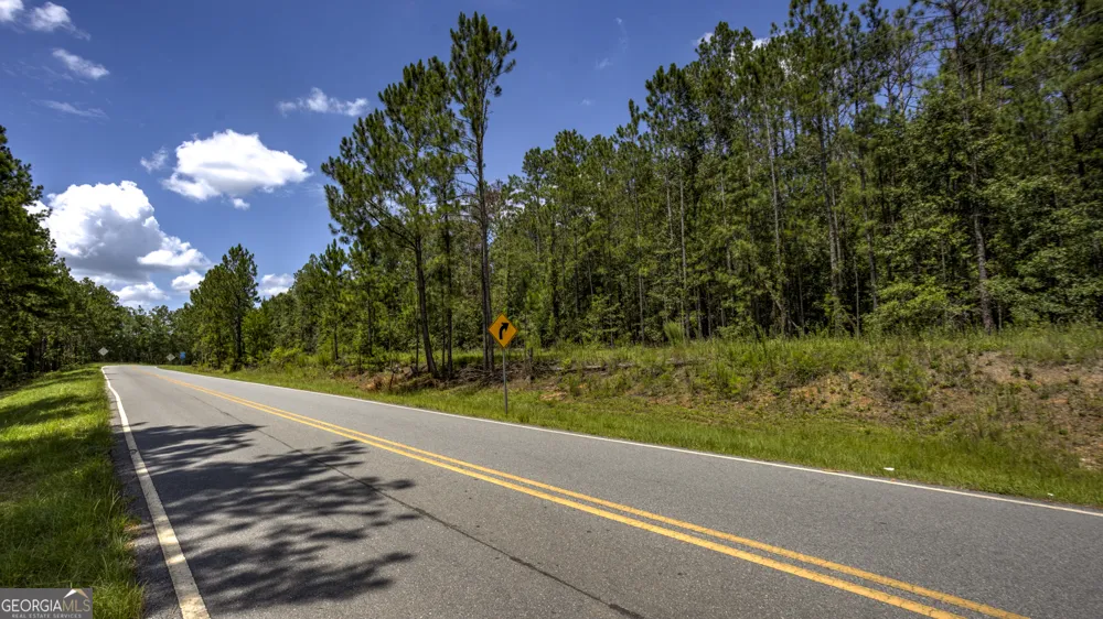 0 GA Highway 169 Claxton, GA 30417