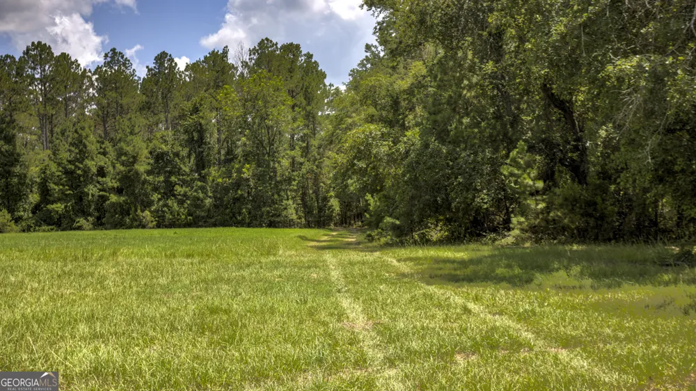 0 GA Highway 169 Claxton, GA 30417
