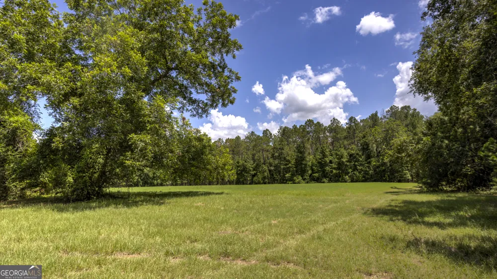 0 GA Highway 169 Claxton, GA 30417