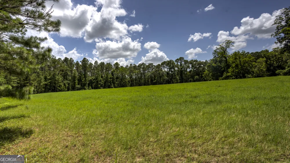 0 GA Highway 169 Claxton, GA 30417