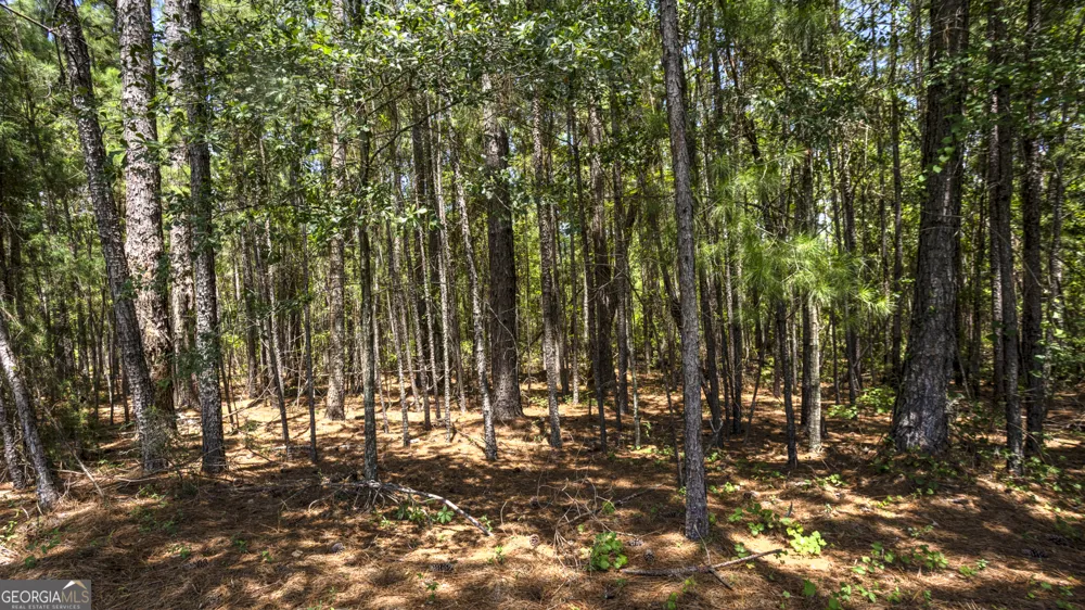 0 GA Highway 169 Claxton, GA 30417
