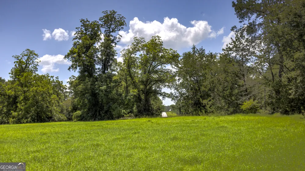 0 GA Highway 169 Claxton, GA 30417