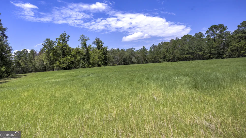0 GA Highway 169 Claxton, GA 30417
