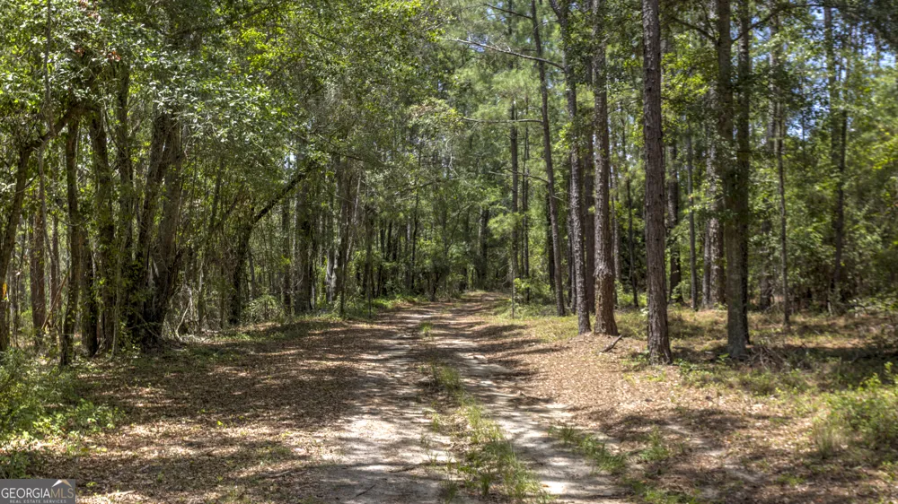 0 GA Highway 169 Claxton, GA 30417