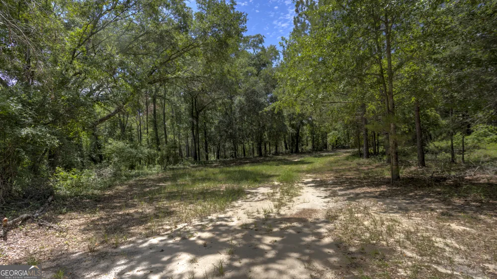 0 GA Highway 169 Claxton, GA 30417