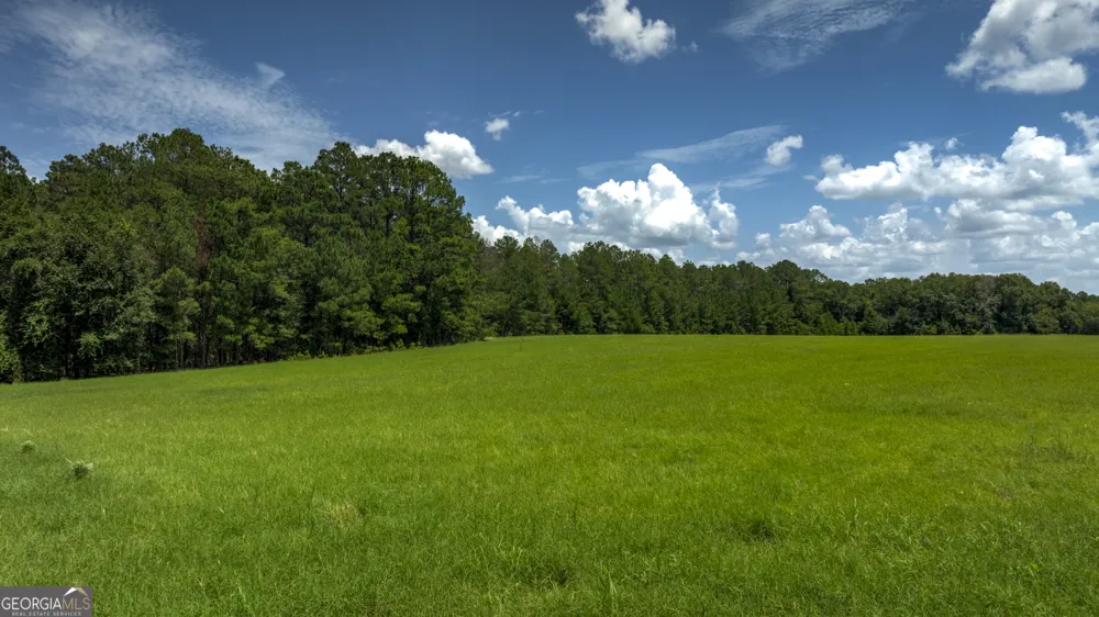 0 Wallace Parker DR Claxton, GA 30417