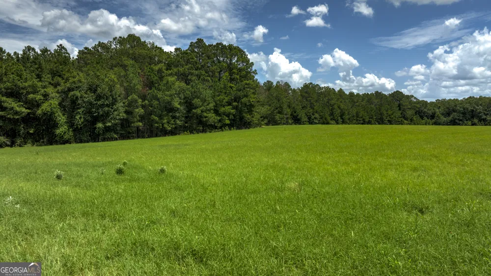 0 Wallace Parker DR Claxton, GA 30417