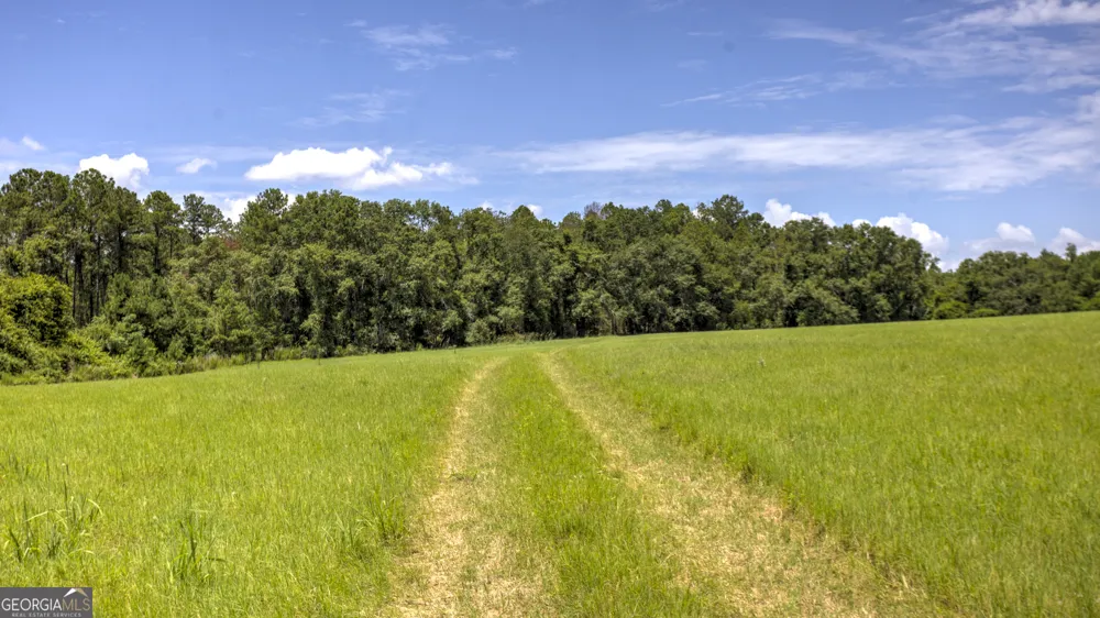 0 Wallace Parker DR Claxton, GA 30417