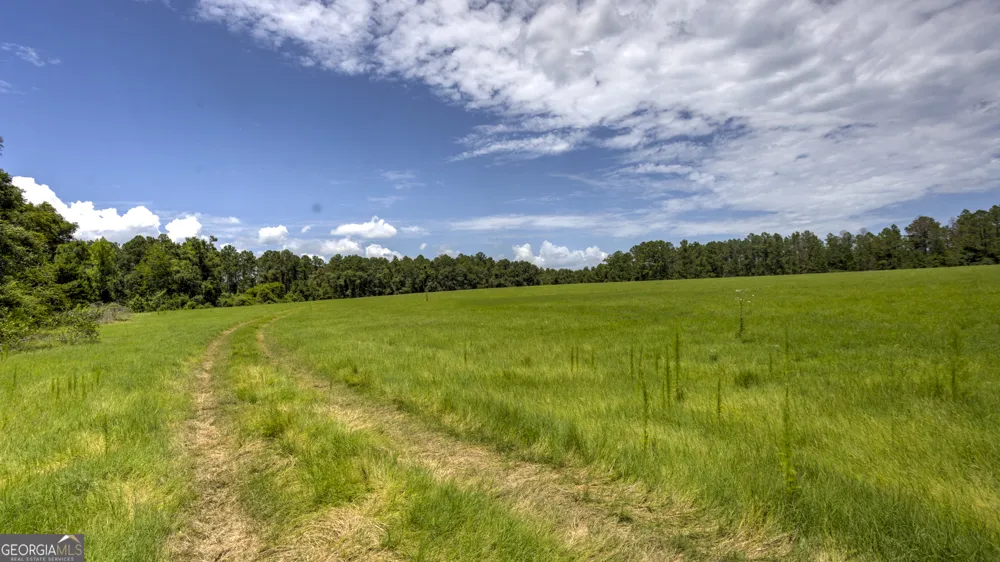 0 Wallace Parker DR Claxton, GA 30417