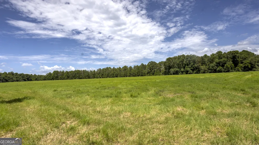 0 Wallace Parker DR Claxton, GA 30417