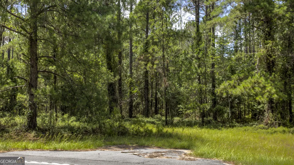 0 Stafford RD Claxton, GA 30417
