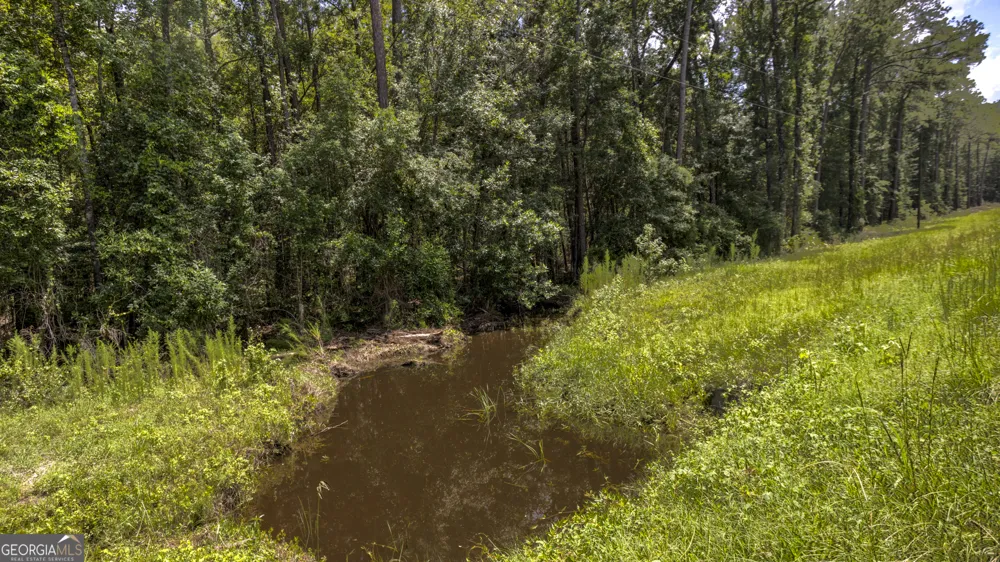 0 Stafford RD Claxton, GA 30417