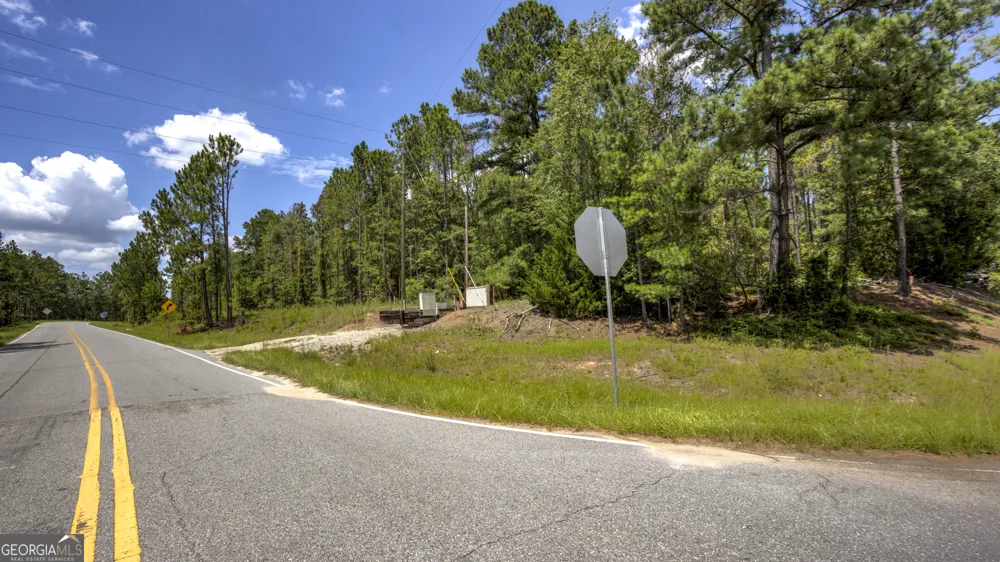 0 Stafford RD Claxton, GA 30417