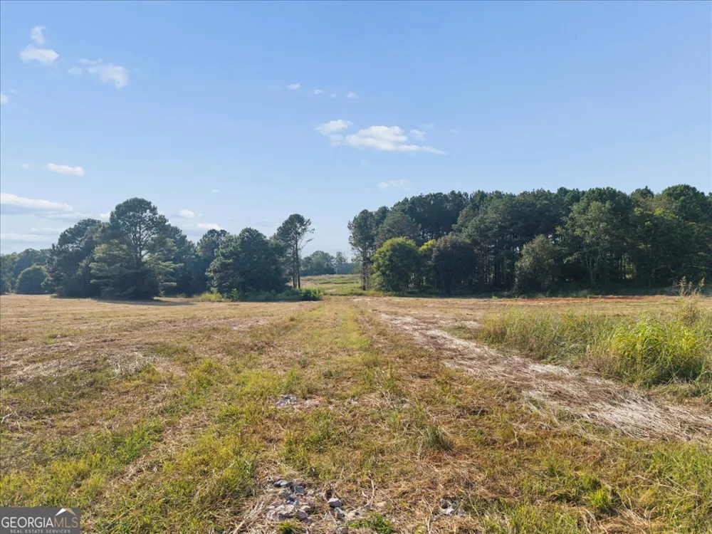 13.51 ACRES Fieldcrest LN Madison, GA 30650