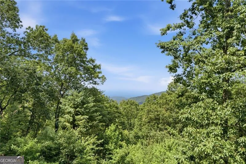 539 Dowel CIR Ellijay, GA 30540