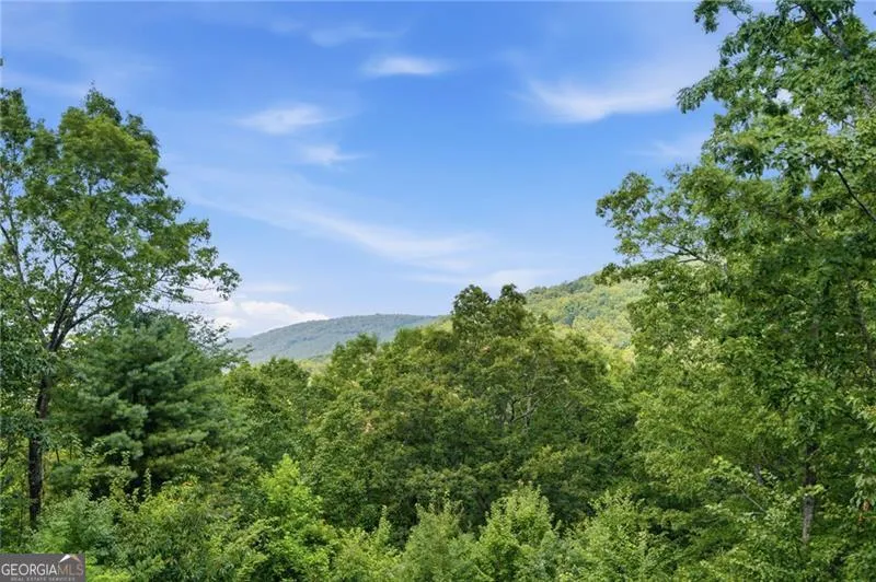 539 Dowel CIR Ellijay, GA 30540