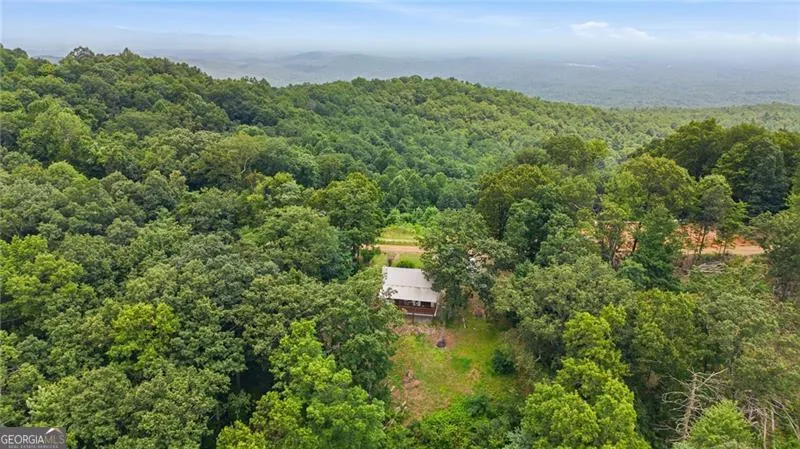539 Dowel CIR Ellijay, GA 30540