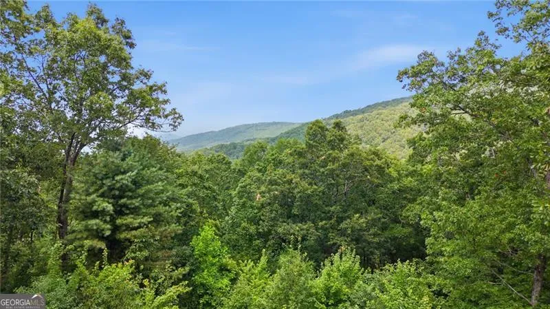 539 Dowel CIR Ellijay, GA 30540