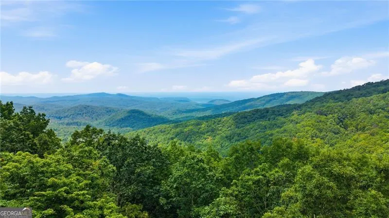 539 Dowel CIR Ellijay, GA 30540