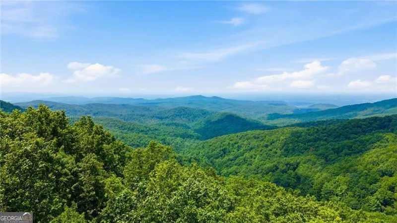 539 Dowel CIR Ellijay, GA 30540