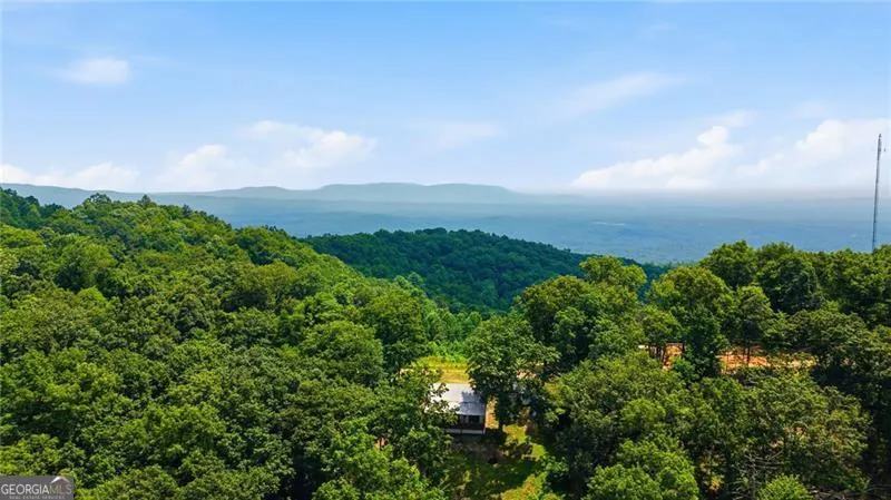 539 Dowel CIR Ellijay, GA 30540