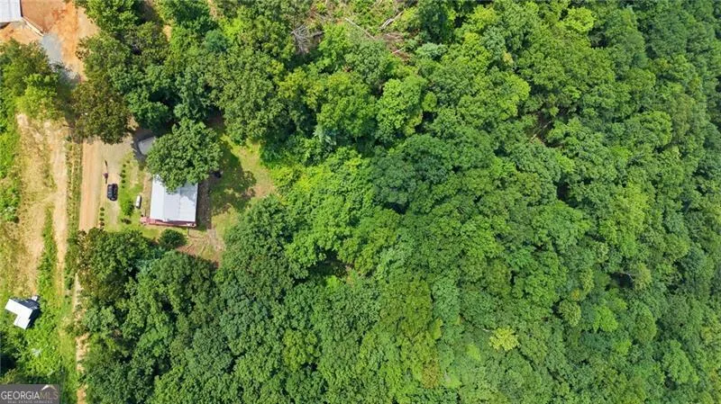 539 Dowel CIR Ellijay, GA 30540