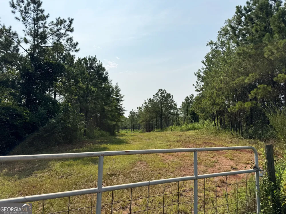 4066 Green Grove RD Lumpkin, GA 31815