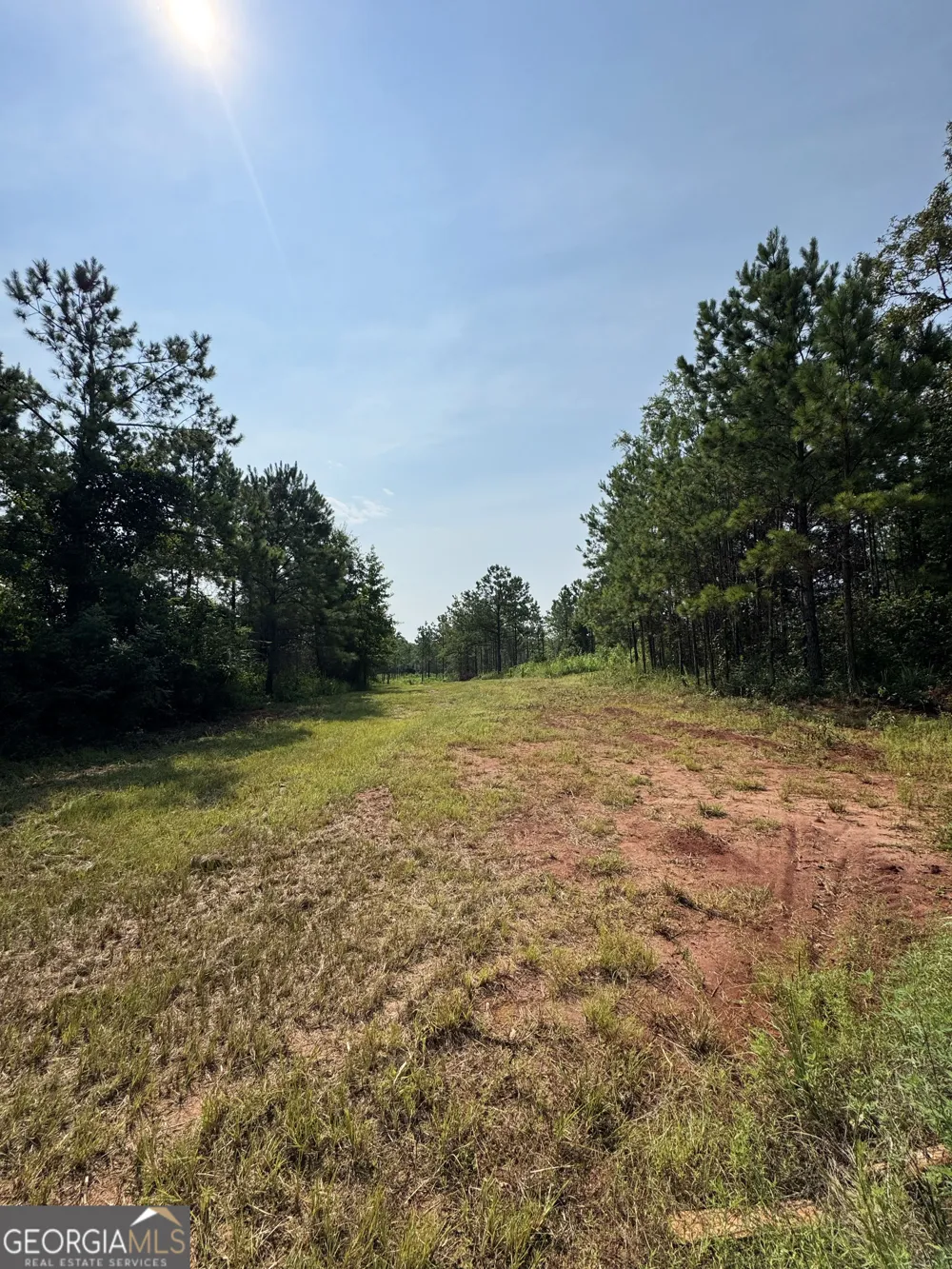 4066 Green Grove RD Lumpkin, GA 31815