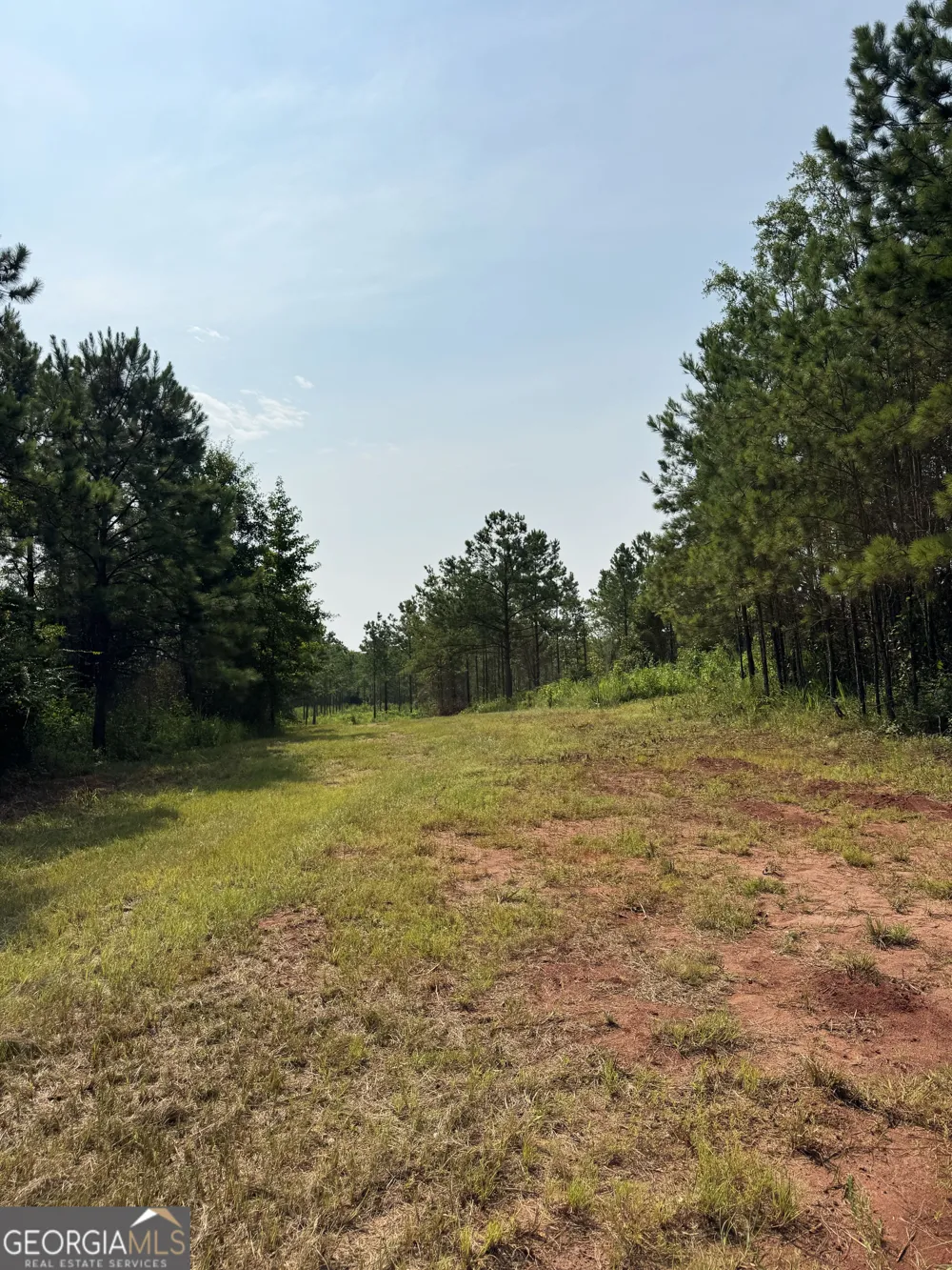 4066 Green Grove RD Lumpkin, GA 31815