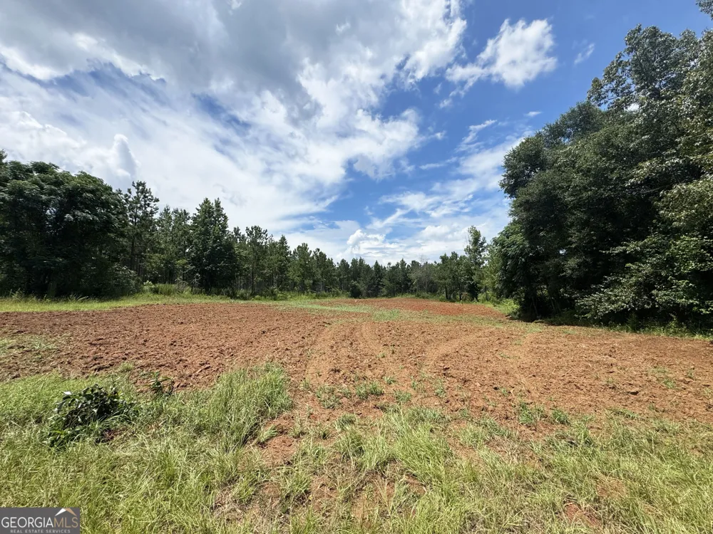 4066 Green Grove RD Lumpkin, GA 31815