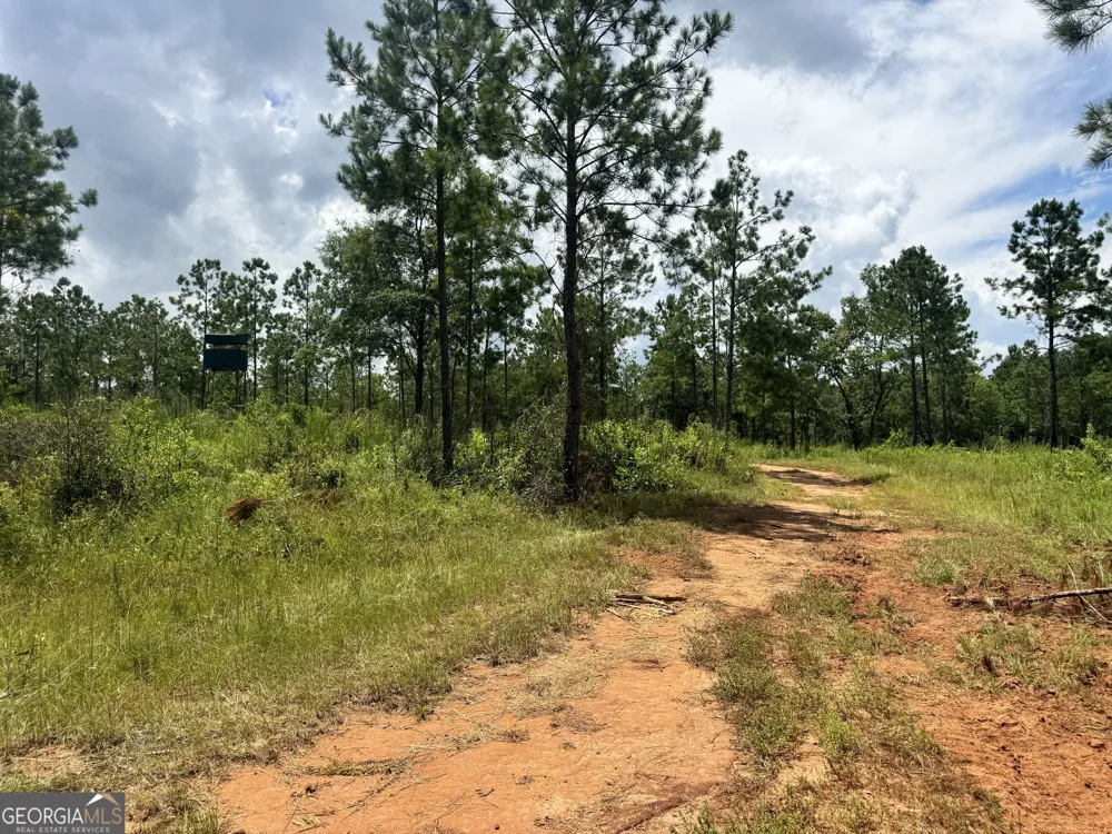 4066 Green Grove RD Lumpkin, GA 31815