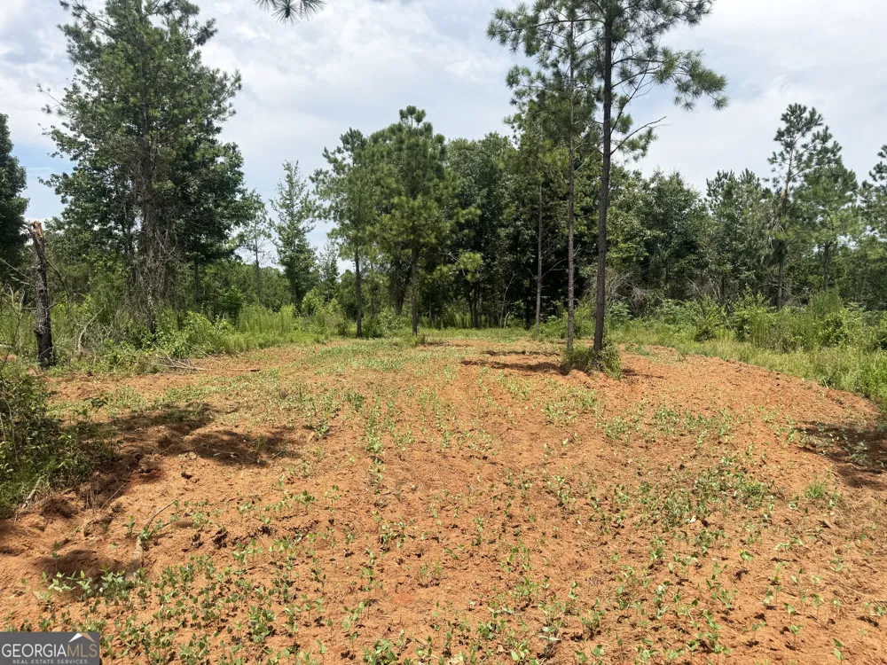 4066 Green Grove RD Lumpkin, GA 31815