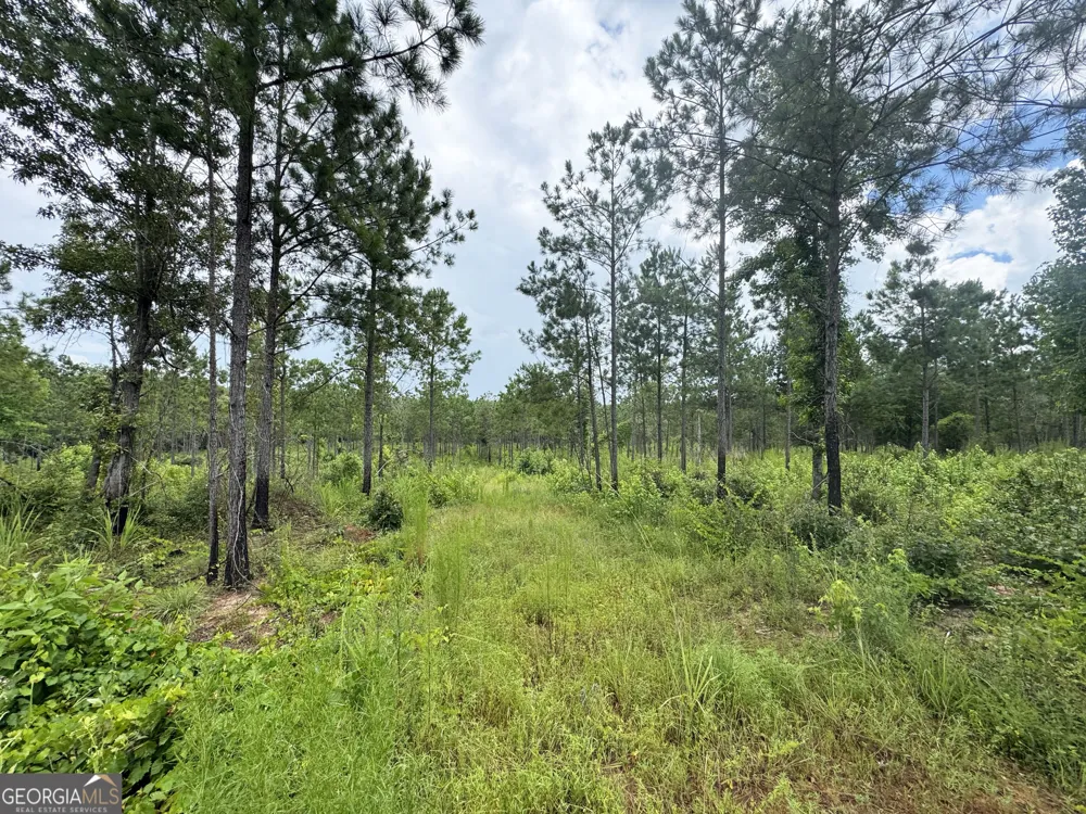 4066 Green Grove RD Lumpkin, GA 31815