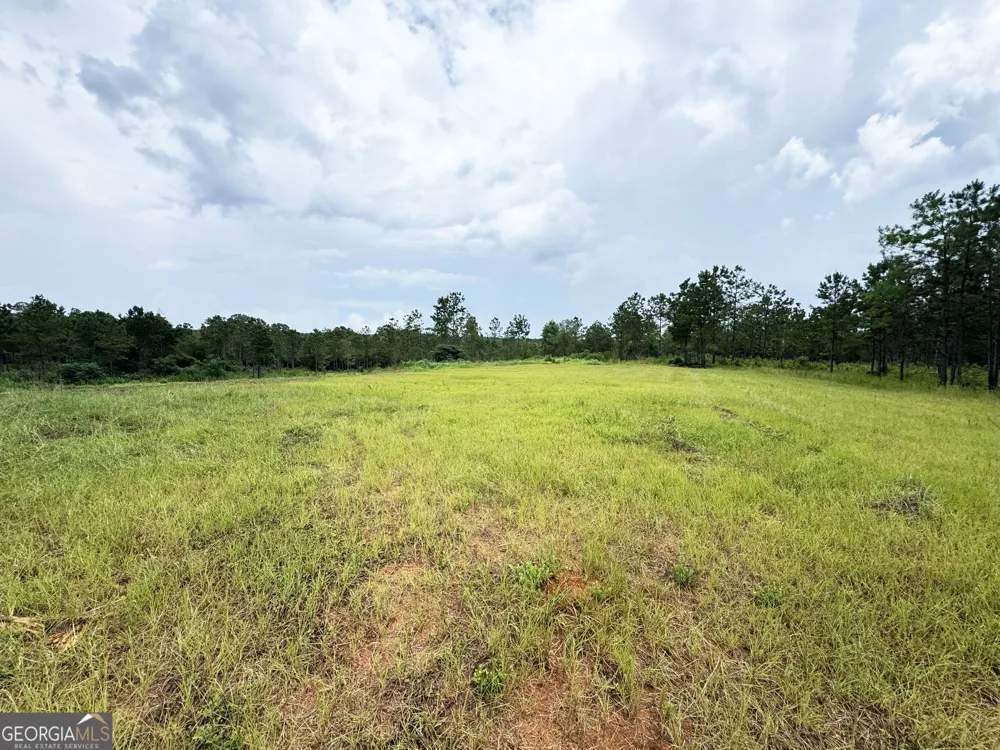 4066 Green Grove RD Lumpkin, GA 31815