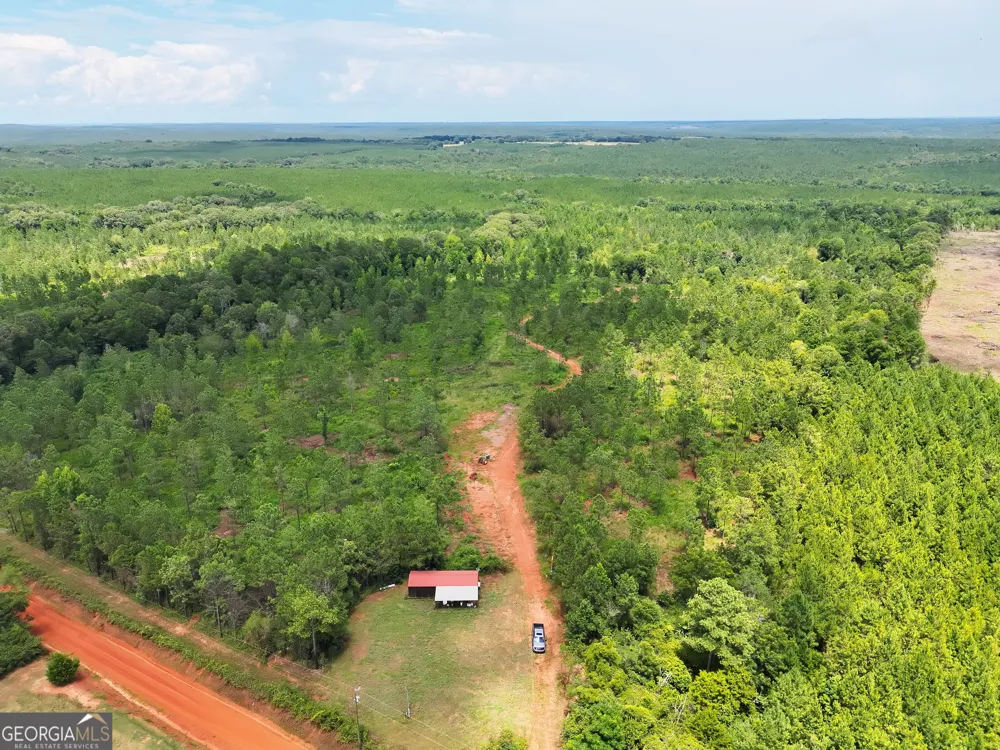 4066 Green Grove RD Lumpkin, GA 31815