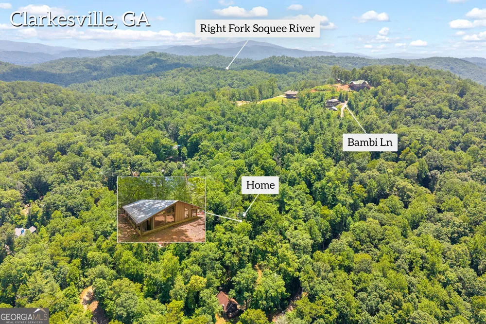 185 Pope Dickson LN Clarkesville, GA 30523