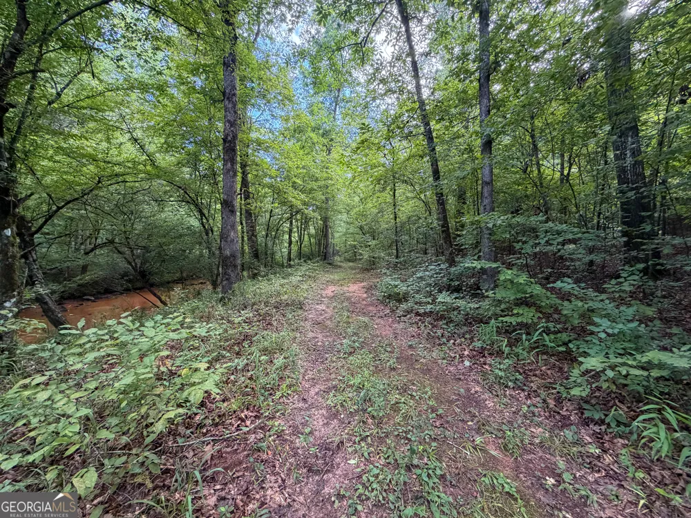 1503 McDonald RD Covington, GA 30014