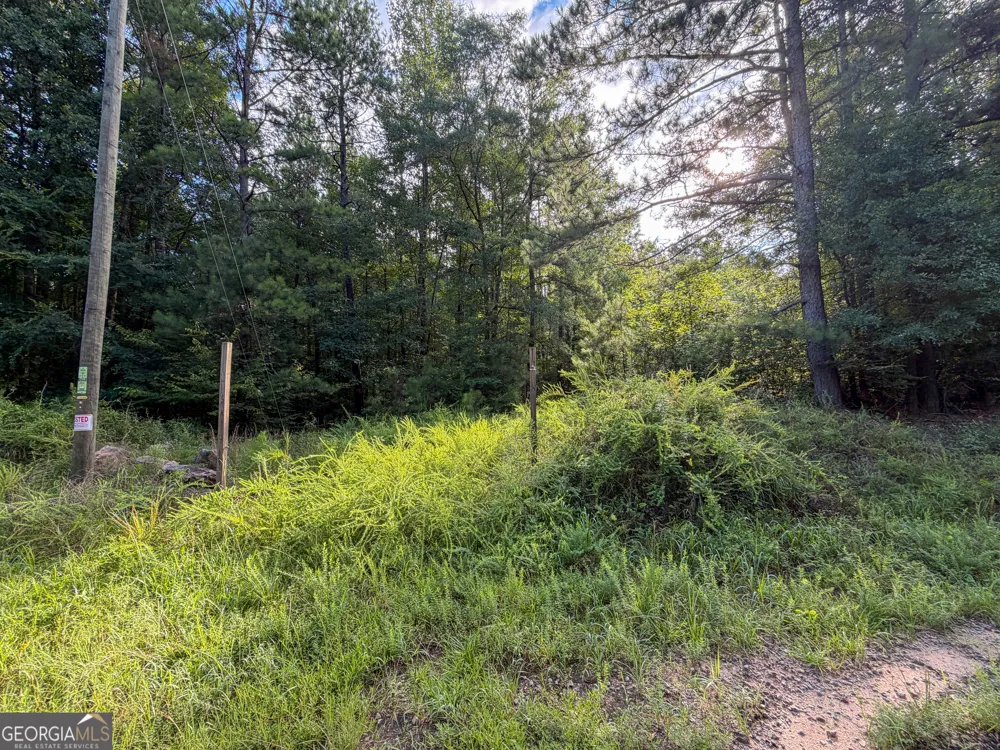 1503 McDonald RD Covington, GA 30014