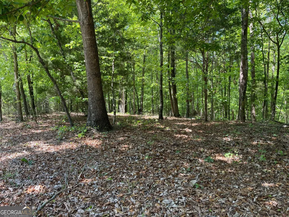 TRACT 1A CHALCREST WAY Cave Spring, GA 30124