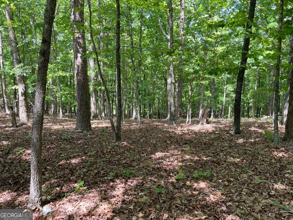 TRACT 1A CHALCREST WAY Cave Spring, GA 30124