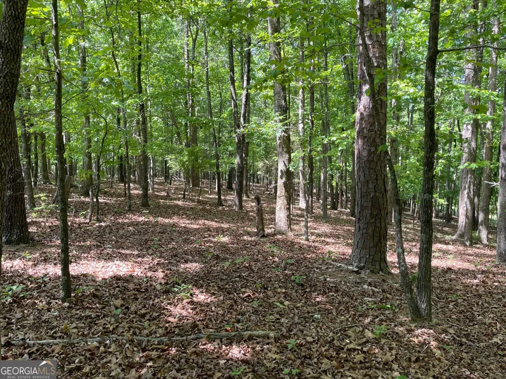 TRACT 1A CHALCREST WAY Cave Spring, GA 30124