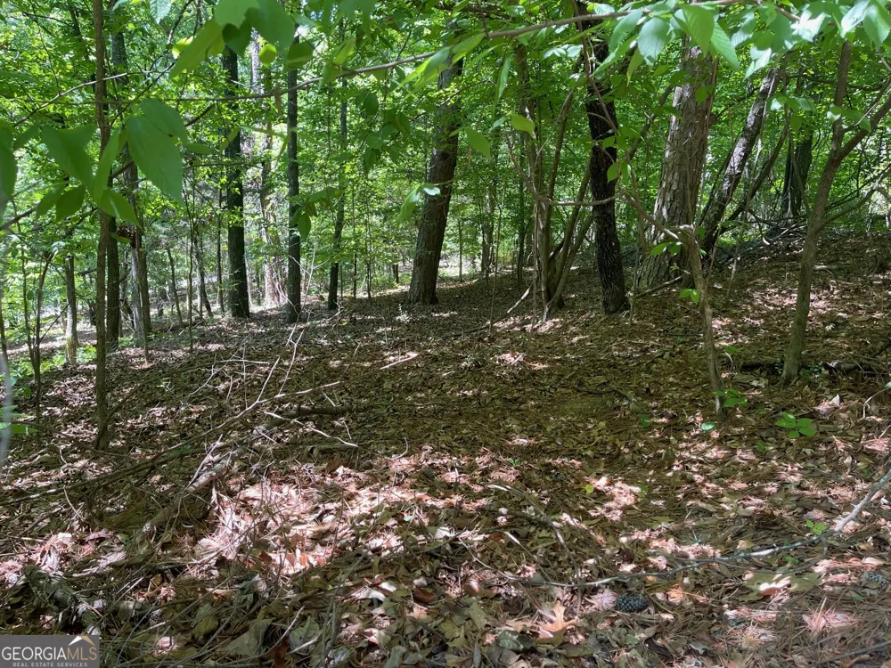 TRACT 1A CHALCREST WAY Cave Spring, GA 30124