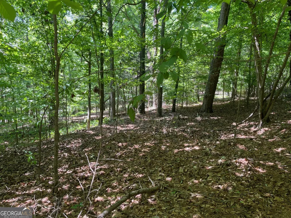 TRACT 1A CHALCREST WAY Cave Spring, GA 30124