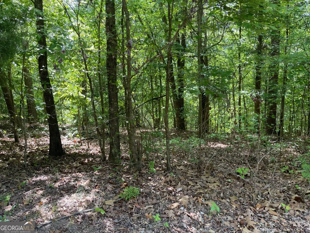 TRACT 1A CHALCREST WAY Cave Spring, GA 30124