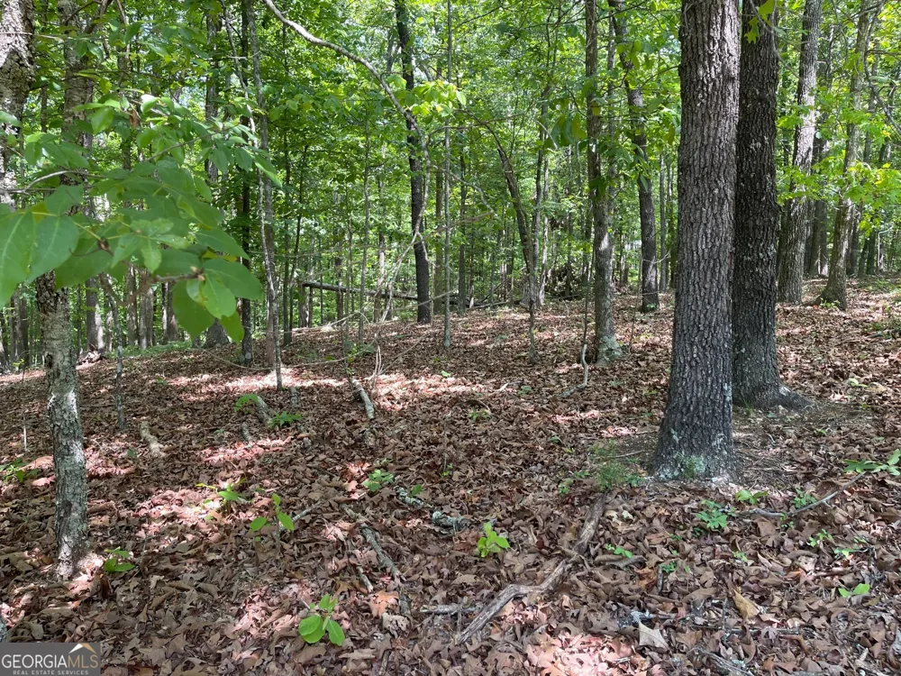 TRACT 1A CHALCREST WAY Cave Spring, GA 30124