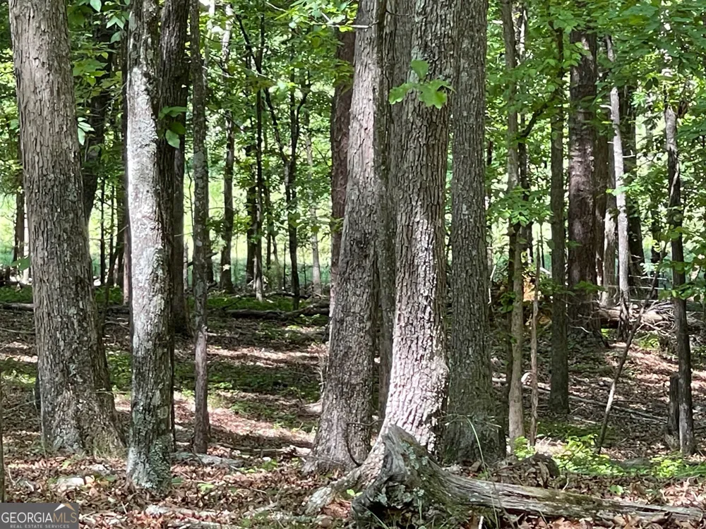 TRACT 1A CHALCREST WAY Cave Spring, GA 30124