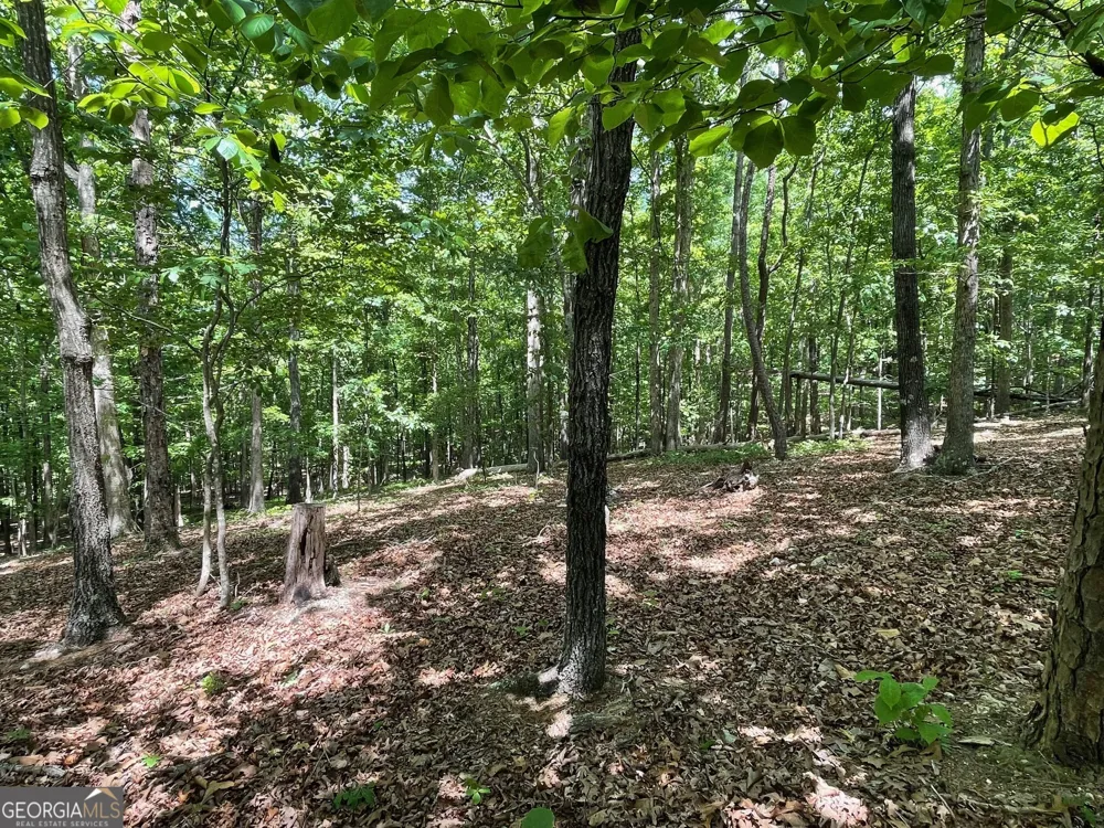 TRACT 1A CHALCREST WAY Cave Spring, GA 30124